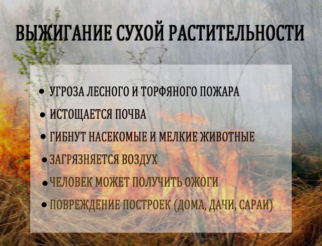 photo 19 05 2025 02